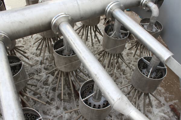 Nhà phân phối đa dạng axit4