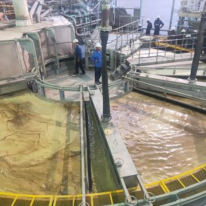 300kt/a PA Project for INDORAMA ICS in Senegal