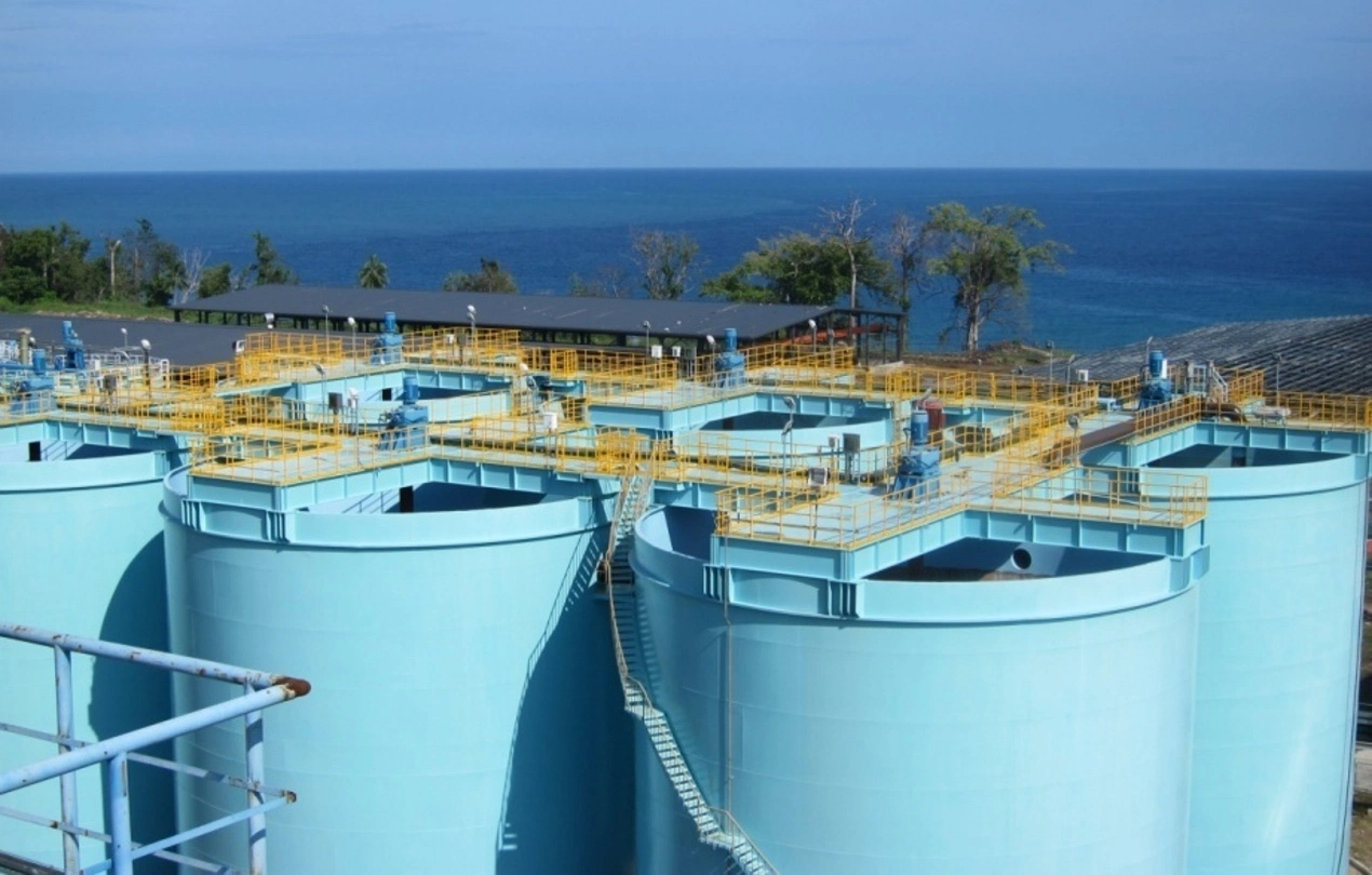 Papua New Guinea - MCC Ramu Cobalt-Nickel Smelting Project