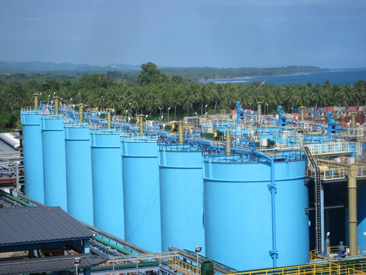 The agitation systems in the Papua New Guinea project